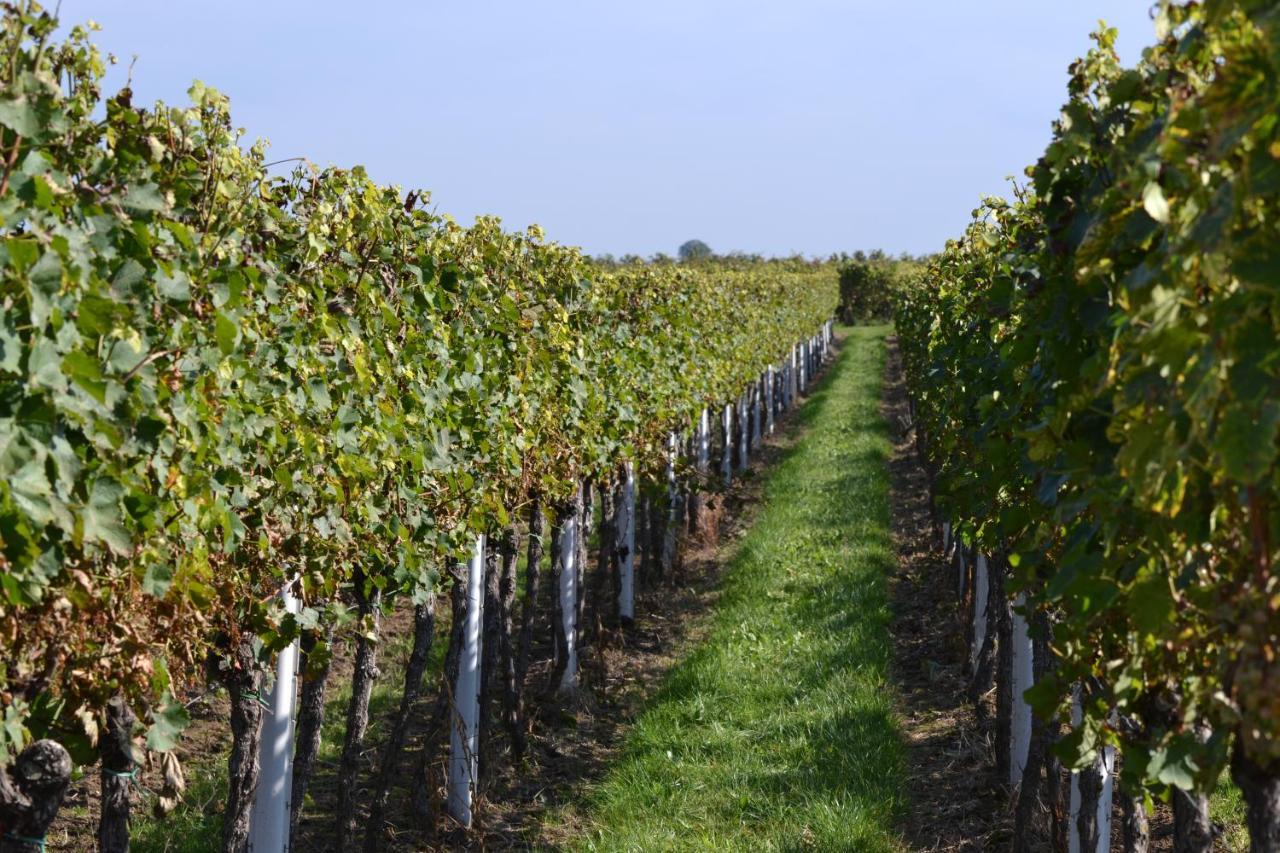 Zauber Der Pfalz Romerberg Bagian luar foto