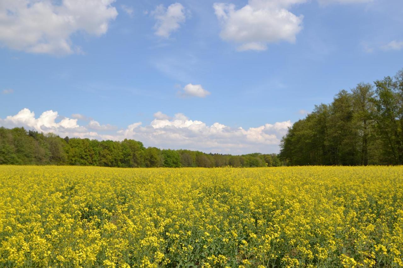 Zauber Der Pfalz Romerberg Bagian luar foto