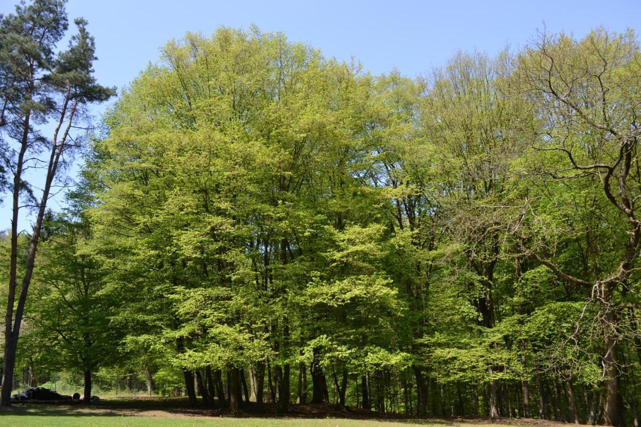 Zauber Der Pfalz Romerberg Bagian luar foto